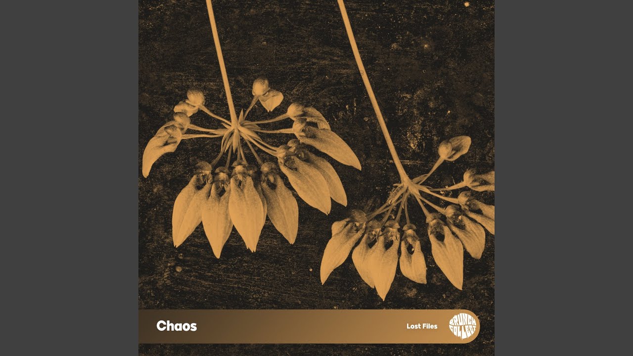 Watch Chaos on YouTube Watch Chaos on YouTube