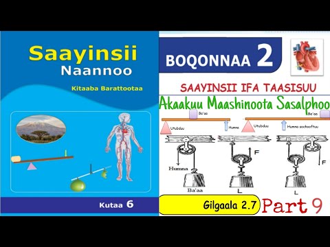 Saayinsii Naannoo Kutaa 6ffaa Boqonnaa 2 Part 9