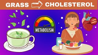 How To Reduce Cholesterol Using Miraculous Tea by Remedies One 171 views 3 weeks ago 1 minute, 46 seconds