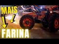 TRASFORMAZIONE MAIS IN FARINA | Mangime per Tori | Filips Country