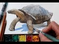 Watercolor + Colored Pencils = Fast, Realistic Textures