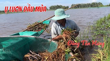 Trải nghiệm xúc ụ lươn đầu mùa lũ cùng chú năm đồng Tân Hưng 