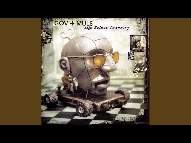 Gov't Mule - World Gone Wild