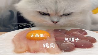 生骨肉喂养之鸡肉配腰子