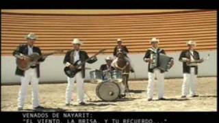 Miniatura del video "Venados De Nayarit El Viento, La Brisa, Y Tu Recuerdo"