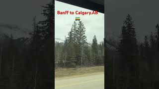 Bus Trip from Banff to Calgary, Canada#캐나다#banff#travel#bus#trip
