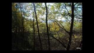 Napiwoda Nidzica Piękna Okolica - Las