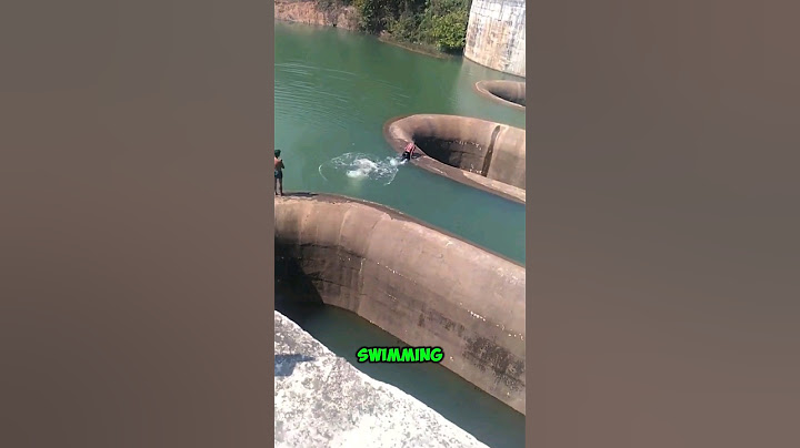 Never swim near this hole. #shorts #youtubeshorts #viralshorts #facts
