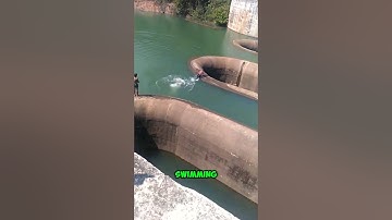 Never swim near this hole. #shorts #youtubeshorts #viralshorts #facts
