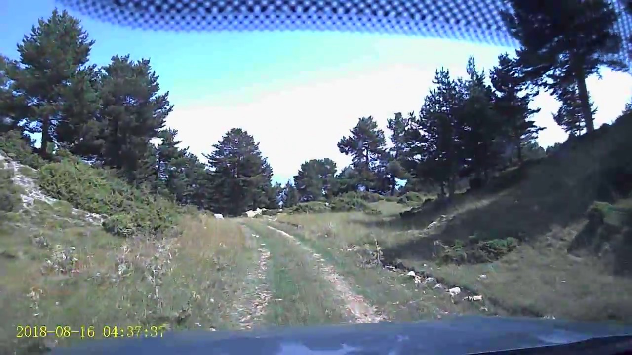 Ormandibi Köyü - Yusufeli ARTVİN