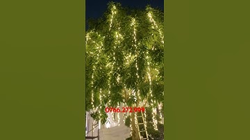Thi công trang trí quấn cây bằng led đúc F5