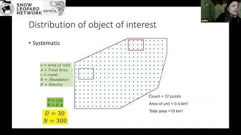 PAWS: Sampling Basics