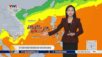 Dự báo thời tiết 19h45 - 25/11/2025 | Áp thấp nhiệt đới đi vào Biển Đông | VTVWDB