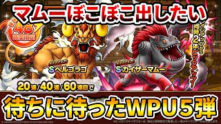 【ドラクエタクト】待望の魔獣WPUガチャ【カイザーマムーボコボコ出したい】