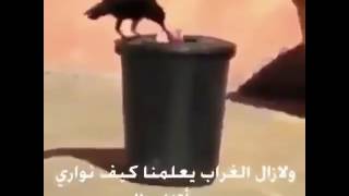 و لا زال الغرب يعلمنا كيف نواري سوأتنا ...