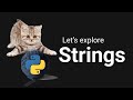 I Explored Everything Python Strings