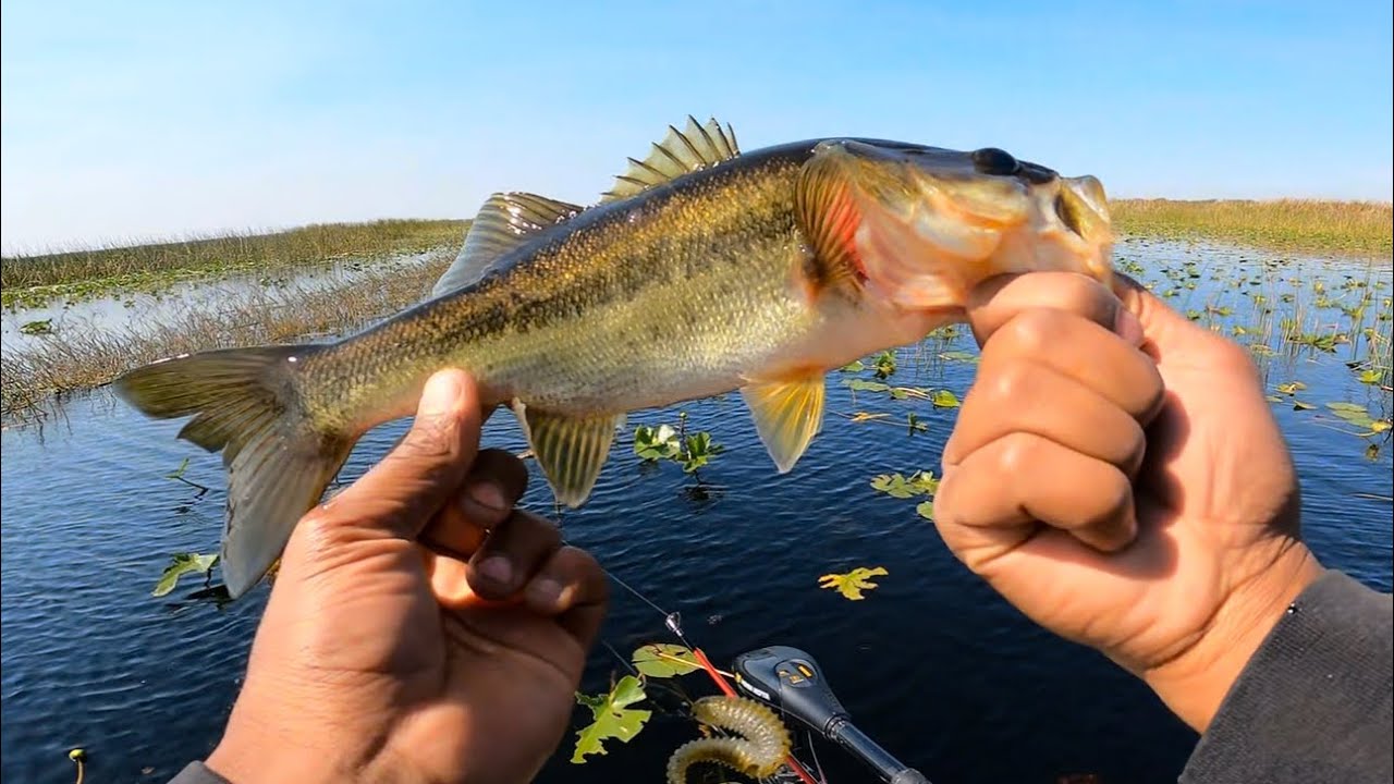 LAKE TOHO Bass Fishing in February (Late Winter) |Swim Bait