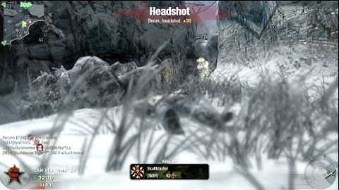 black ops gameplay: array sniper rifle: L96A1 (9-9)