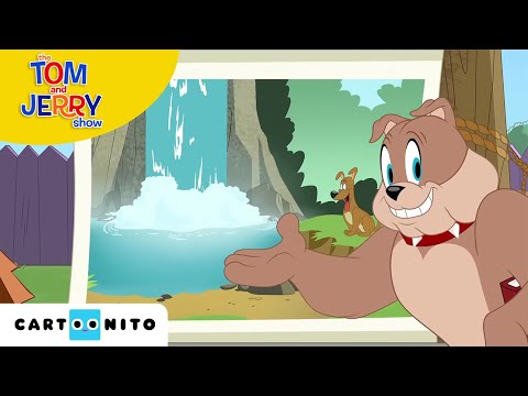 TOM VE JERRY | Köpek Olma Sanatı | Cartoonito Türkiye 🇹🇷