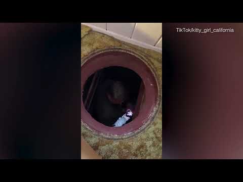 Woman reveals nuclear BOMB SHELTER under manhole in master bedroom of California home built in 1951