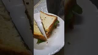 yummy sandwiches| #youtubeshorts #yummyfood #yummy  #happynewyear #balaosman #travel #viral