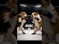 MMA Fight | Beagle vs Bulldog (For UFC Fans) | PAWFC
