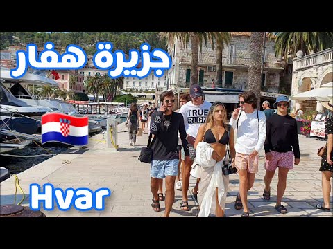 فيديو: لماذا السفر إلى هفار؟