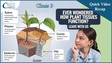 Class 9 | Plant Tissues | Science Olympiad | CREST Olympiads