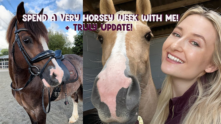 A FUN WEEK WITH ME AND THE PONIES! HACKING, EQUESTRIAN PR, TRULY UPDATES + MORE