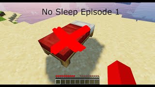 Minecraft but you can't sleep Episode 1