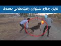 کاپتن ڕزگار باسی شێوازەکانی ڕاهێنان دەکات بۆ سەگەکان Dog Training Dog سەگ کاپتن ڕزگار باسی شێوازەکانی ڕاهێنان دەکات بۆ سەگەکان Dog Training Dog سەگ