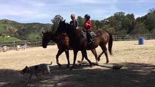 Daphs First Ride On Vissy