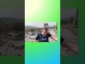 Another journalist hit  ?  #viral #news #shortsfeed #warzone #shortvideo #lebanon #israel #shorts