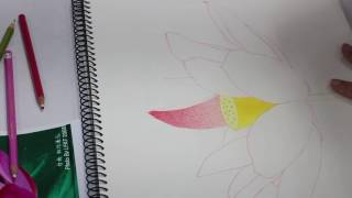 1051122中壢社大 蓮花 後花瓣1