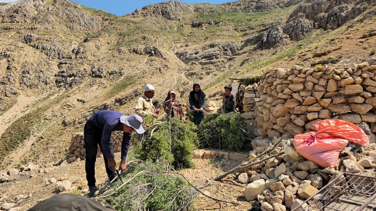 ИРАН кочевая жизнь |  Монтаж дома с использованием природных ресурсов |  Кочевой образ жизни Ирана