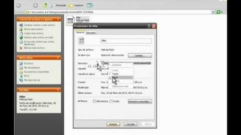 TUTORIAL: AGREGAR UN ARCHIVO .SWF A EXCEL 2007