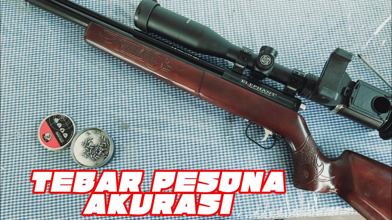 Luar biasa‼️bediller yang satu ini uji tembaknya di daun pisang