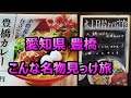 愛知県豊橋市 変わり種と名物を探す旅