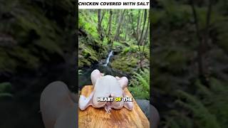 Primitive Fire Cooking — Salt Chicken Grilled in the Woods 🔥 No Talking ASMR | #outdoorcooking