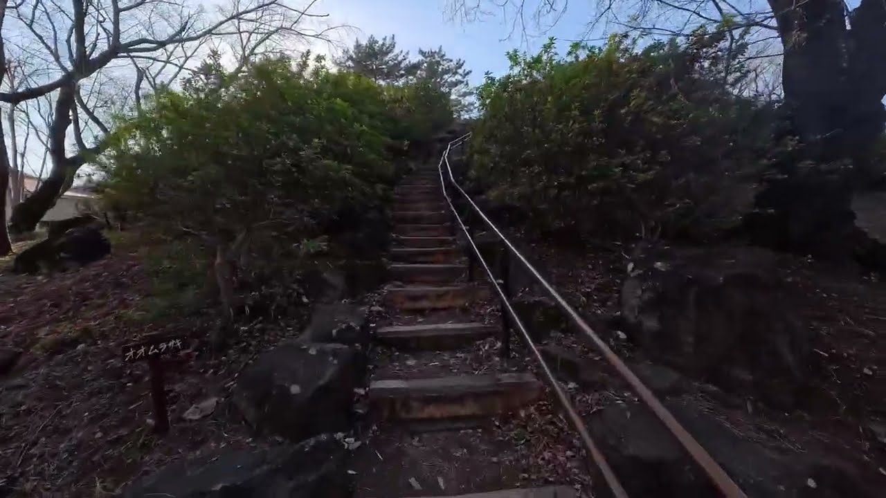 Walkthorugh Toyama Park (Mount Hakone Area), Tokyo 戸山公園 (箱根山地区)