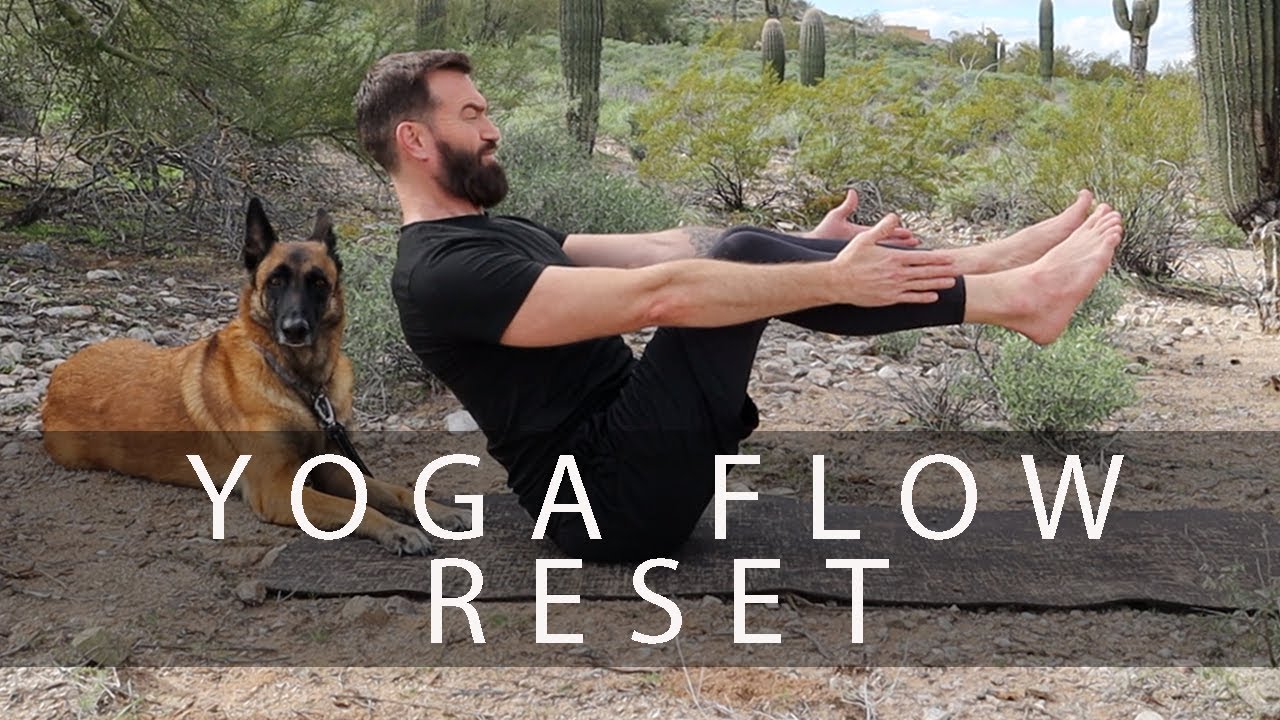 15 Minute Gentle Yoga Flow to Reset and Recharge - YouTube