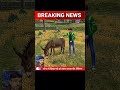 Garena Free Fire Funny News 😂
