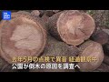 【LIVE】朝のニュース（Japan News Digest Live）最新情報など｜TBS NEWS DIG（5月7日）