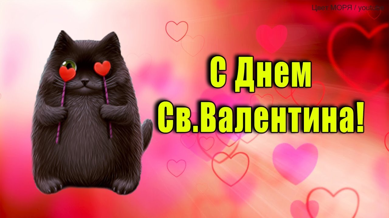 Красотка поздравила мужа с Днем Святого Валентина Красотка поздравила мужа с Днем Святого Валентина