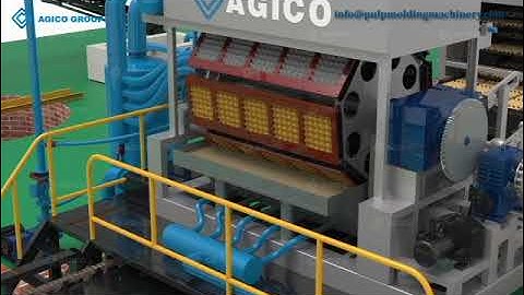 Pulp Molding Process for EggTray Production