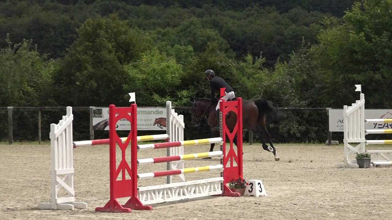 Petrus de Brandegem - 5 ans Qualification Le Pin