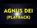 AGNUS DEI - PLAYBACK