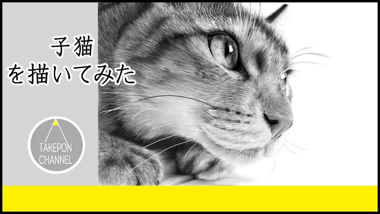 子猫を描いてみた 完成までの一部始終 動画 早送り How To Draw Kitten Youtube