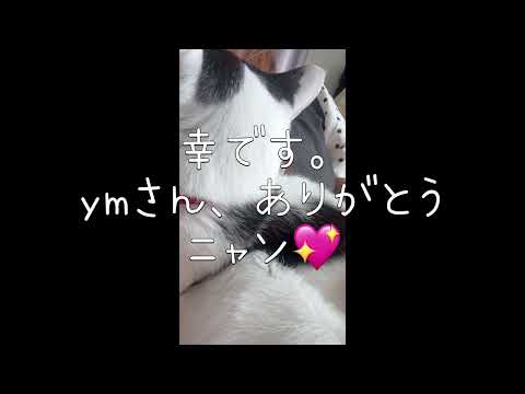 #ymさん素敵なプレゼント感謝致します💖 #ai #プレゼント #感謝