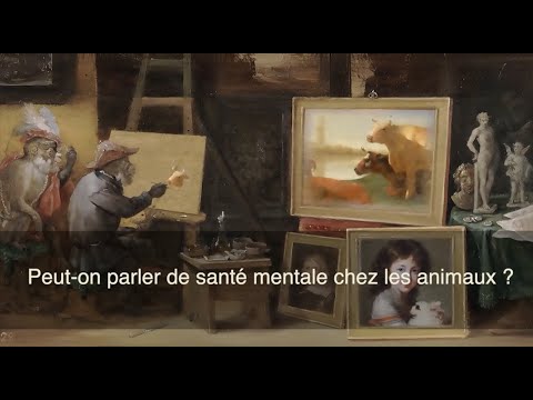 Peut on parler de santé mentale chez les animaux